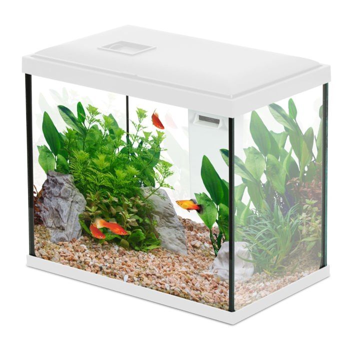 Aquarium Poisson Initio 30cm Blanc - Zolux