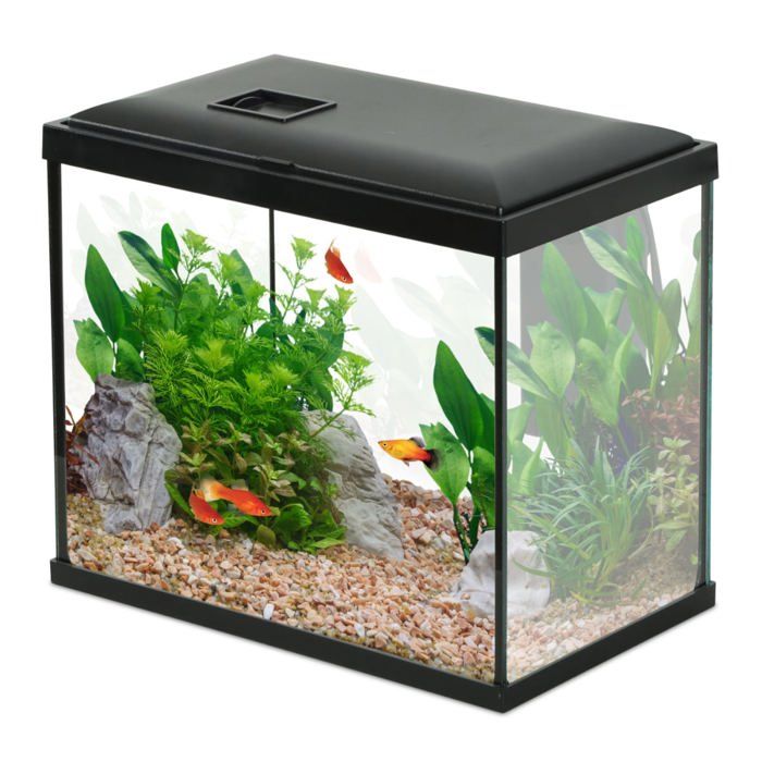 Aquarium Poisson Initio 30cm Noir - Zolux