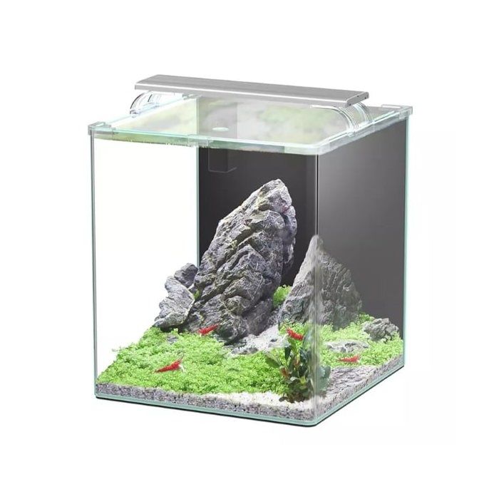 Aquarium Poisson Kubus Curve 44l Essential Avec Bio Filter Et Led - Aquatlantis