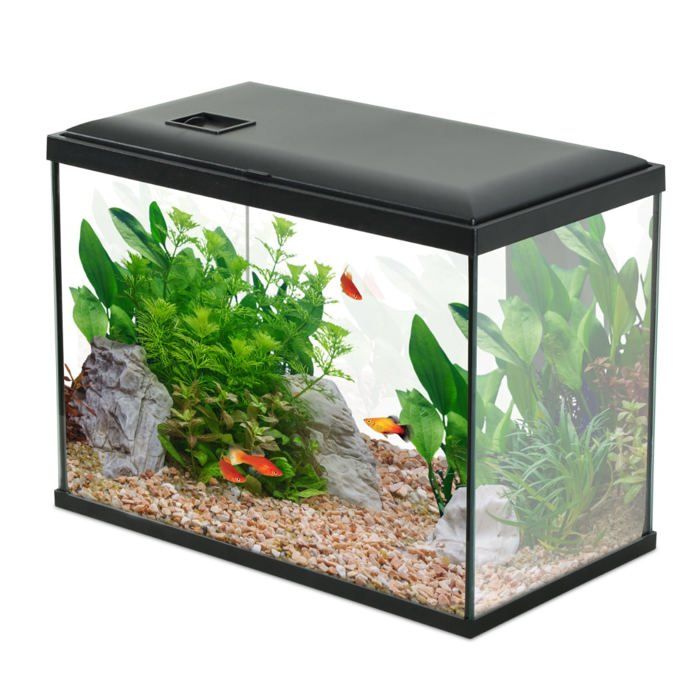 Aquarium Poisson Initio 40cm Noir - Zolux