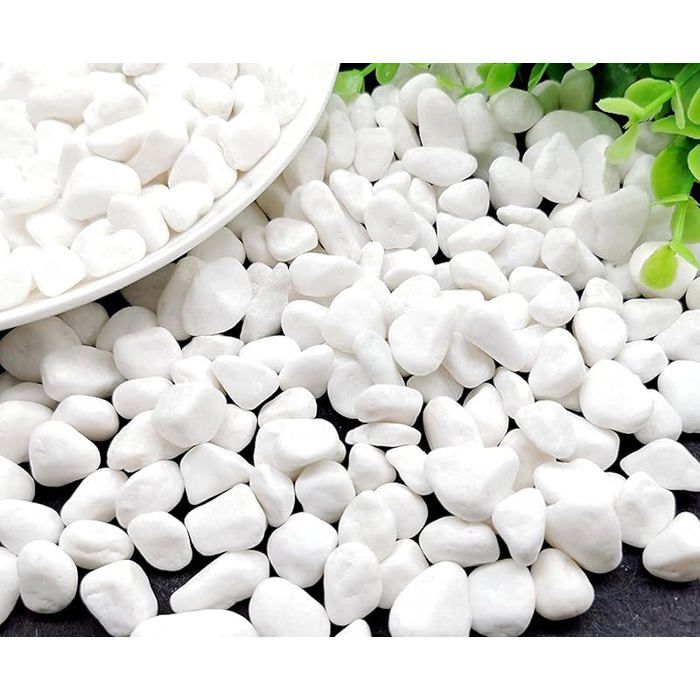Gravier Aquarium Naturels Gravier Blanc Gravier pour Jardin Pierres Blanches Décoration Plante Blanc 900g Gravier Tortue GRAVIER
