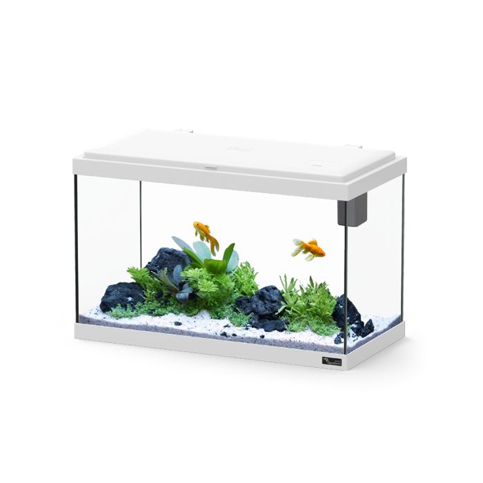 Aquarium poisson Explorer Vienna 42L blanc avec Bio Filter et rampe LED - Aquatlantis Blanc