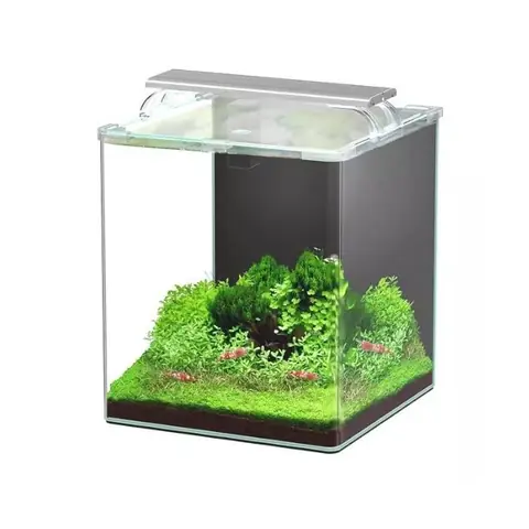 Aquarium Poisson Kubus Curve 30l Essential Avec Bio Filter Et Led - Aquatlantis