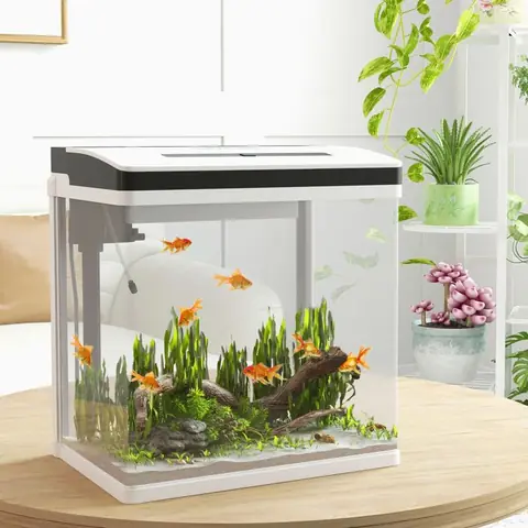 Aquarium en verre avec filtre couvercle et lumière LED pour poissons capacité 28L 38 x 26 x 395 cm blanc