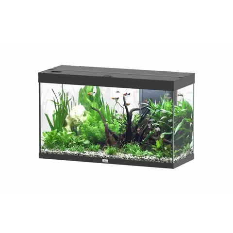 Aquarium poisson Splendid 100 LED 2.0 et Biobox - Aquatlantis Noir