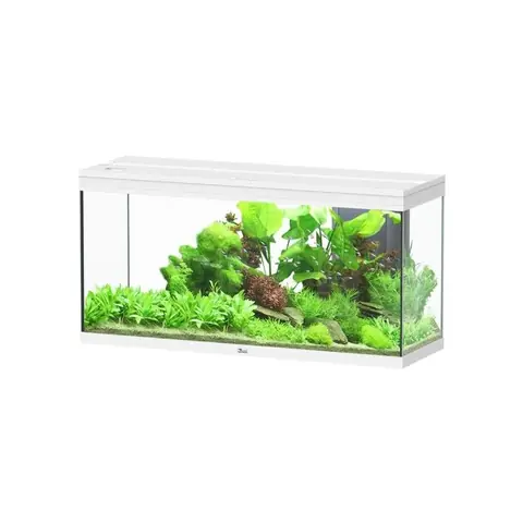 Aquarium poisson Splendid 120 LED 2.0 et Biobox - Aquatlantis Blanc