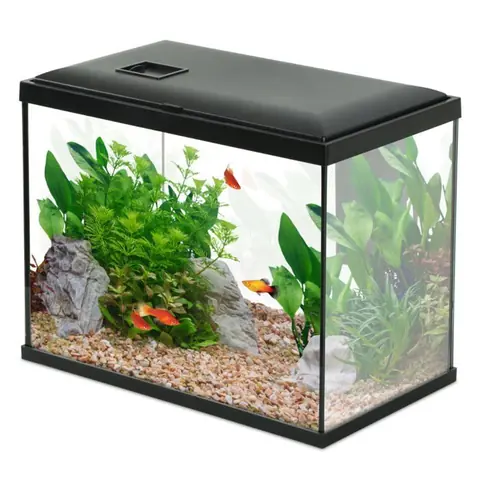 Aquarium Poisson Initio 35cm Noir - Zolux