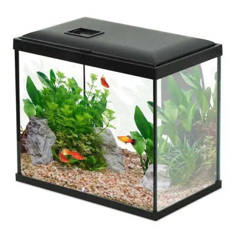 Aquarium Poisson Initio 30cm Noir - Zolux