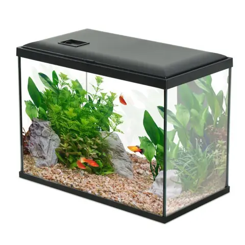 Aquarium Poisson Initio 40cm Noir - Zolux