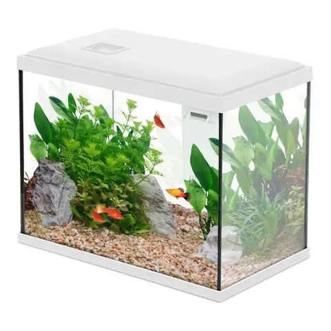 Aquarium Poisson Initio 35cm Blanc - Zolux