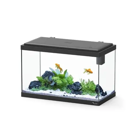 Aquarium Poisson Explorer Vienna 42l Noir Avec Bio Filter Et Rampe Led - Aquatlantis