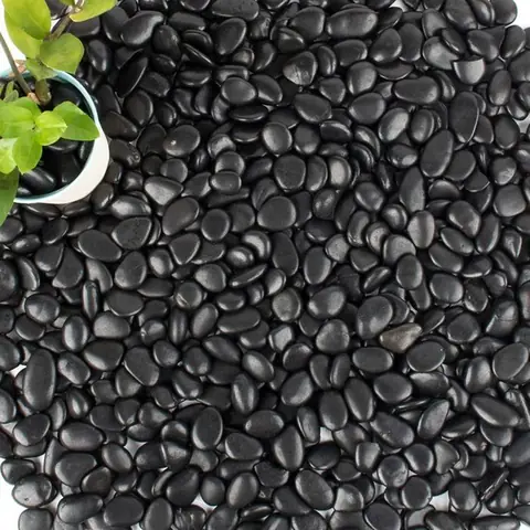 Pierres noires polies pour allées de jardin - Pierres décoratives - Convient aux aquariums et aux allées - 10-20 mm - 1 kg