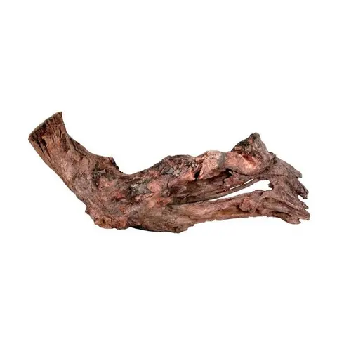 Racine - Zolux - 15/25cm - Bois - Marron - Poisson exotique
