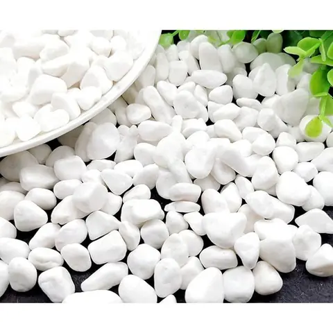 Gravier Aquarium Naturels Gravier Blanc Gravier pour Jardin Pierres Blanches Décoration Plante Blanc 900g Gravier Tortue GRAVIER