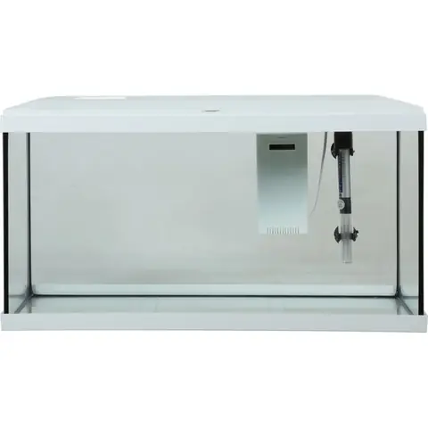 Aquarium poisson Initio 60cm blanc - Zolux Blanc